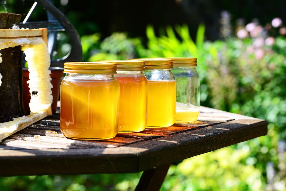 honey production sunshine coast